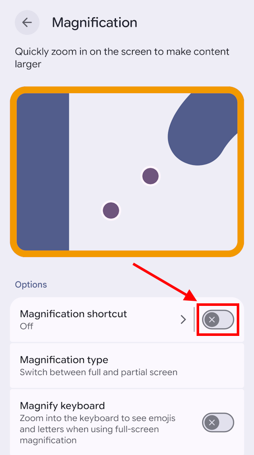 Tap the toggle switch for Magnification shortcut
